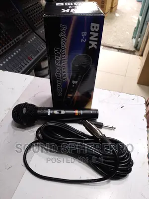 BNK B-2 Dynamic Microphone