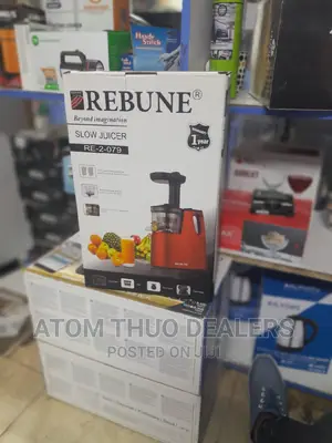 Rebune Slow Juicer With 2 Outlet for Juice Pulp