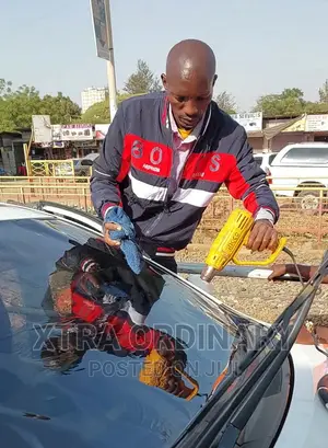 3M Llumar Tinting- Home Deliveries