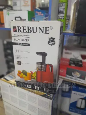 Rebune Slow Juicer With 2 Outlet for Juice and Pulp