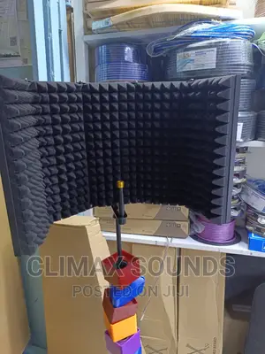 Microphone Isolation Shield Big 5sd