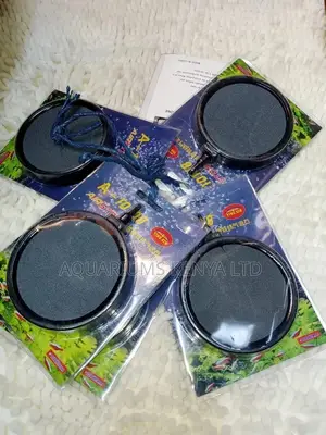 Air Stone Available Circular Nest