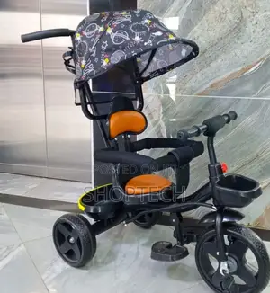 Push Tricycle With Printed Canopy