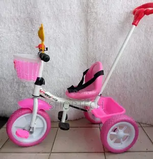 Tricycle With Push Handle