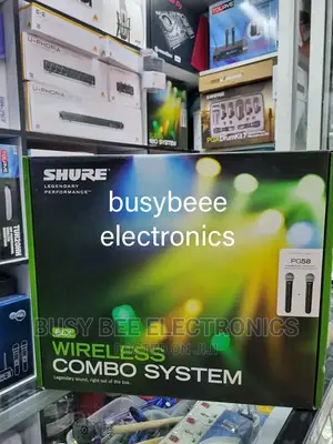 Shure BLX 288 Wireless Microphone