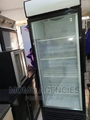 Ddisplay Fridge 650l