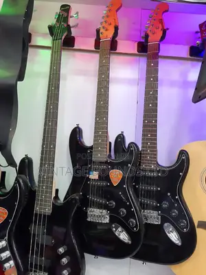 Electric Solo / Rythm Electric Guitar