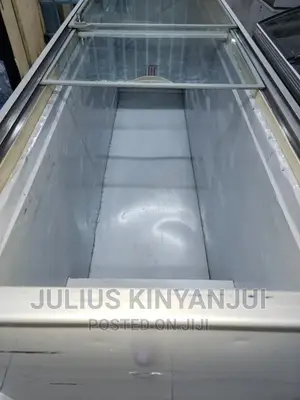 Deep Freezer 700l