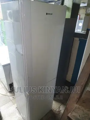 Bottom Freezer Fridge