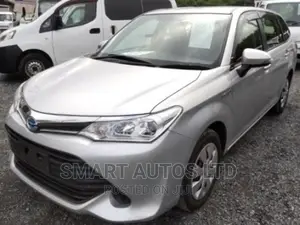 Toyota Corolla Fielder 2017 Silver