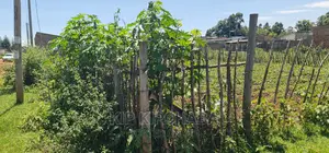 Plot For Sale Chepkoilel Touching Highway In Eldoret