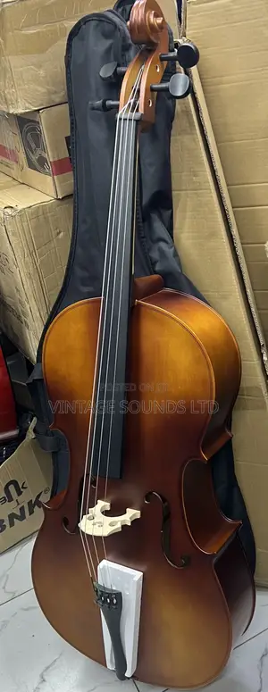 Primavera Cello Instrument