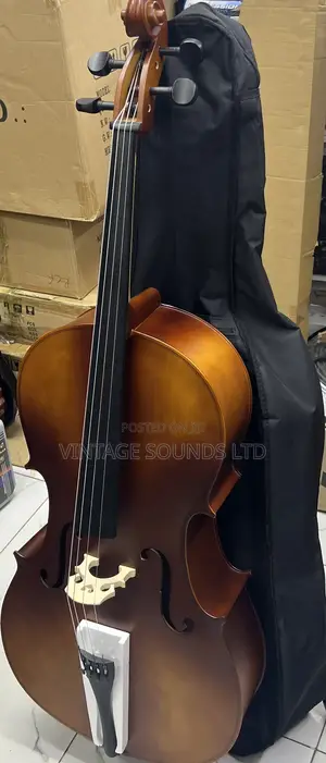 Primavera Cello Instrument