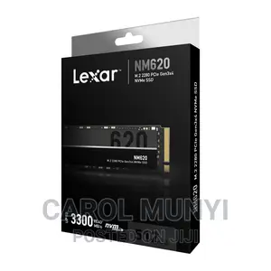 Lexar 256gb SSD