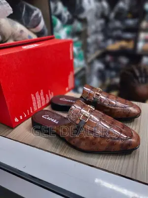 Brown and Black Male Mule Clarks Shoes