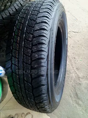 225/70r17 Dunlop Grandtrek