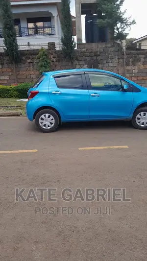 Vitz for Hire