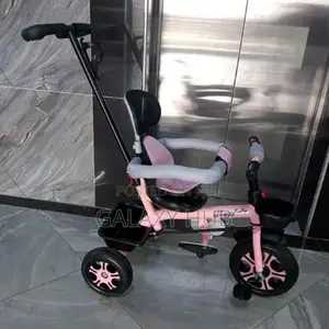 Tricycle, Push Tricycle With Side Bars