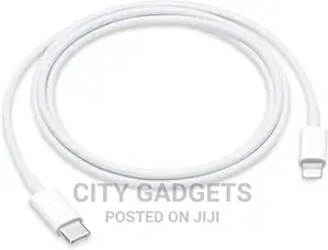Apple USB-C to Lightning Cable (1 M)