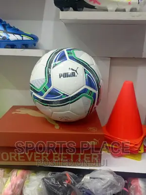 Puma Match/Training Ball