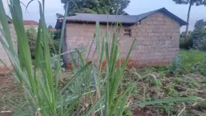 House for Sale In