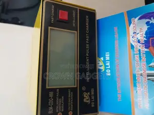 12V 24V Car Battery Charger 10A 250W Trickle Charger