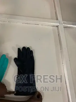 Hand Gloves Nitrile