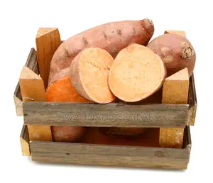 American Sweet Potato Planting Vines Available (200 Vines)