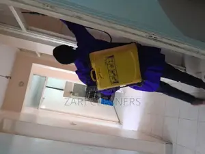 Interior House Bedbugs and Cockroaches Extermination Serve