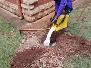 Termites and Queen Removal Fumigation