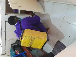Industrial and Domestic Fumigation Services Against Roaches