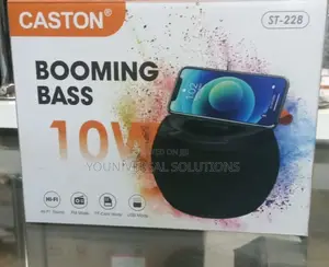 Bloototh Speaker Caston Booming Bass