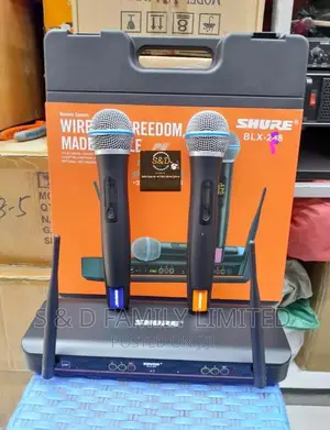 Shure BLX-288 Wireless Microphone