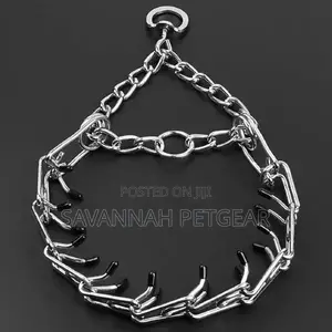 Dog Training Pinch Collar