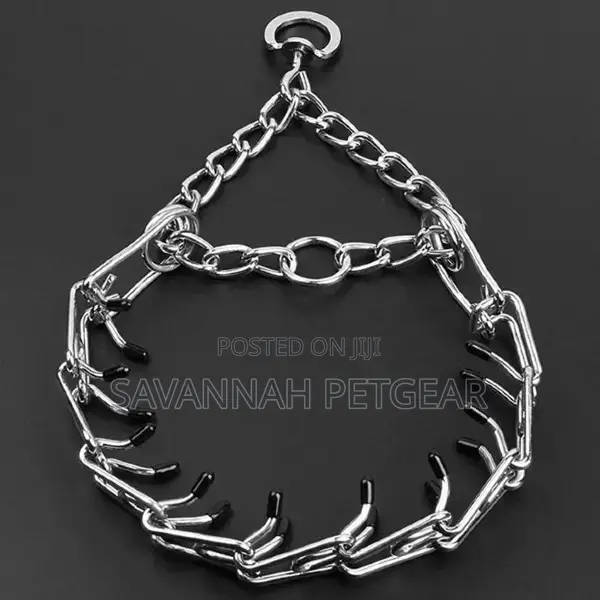 Dog Training Pinch Collar