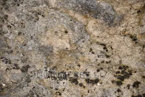 One Acre Coral Rock Land for Sale (Shamba La Mawe)