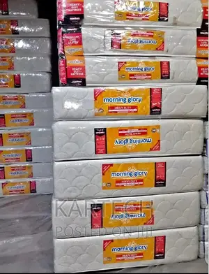 4 1⁄2 by 6 High Density Quilted Mattress 10 Inches