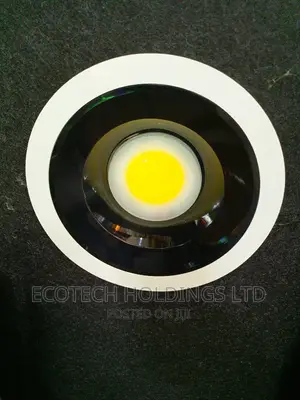 36wts Cob Ceiling Downlighter.
