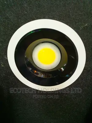 36wts Cob Ceiling Downlighter.