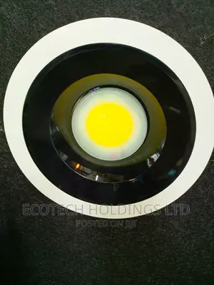 36wts Cob Ceiling Downlighter.