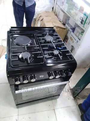 BJS 3+1 Electric Oven Free Standing Cooker 60*60.