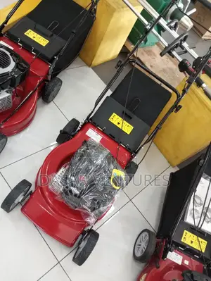 Original Briggs and Stratton 4hp