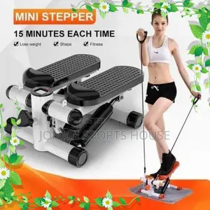 New Mini Stepper