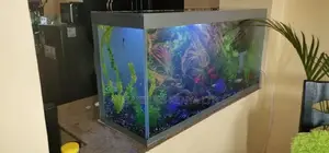 Kitchen Top Aquarium
