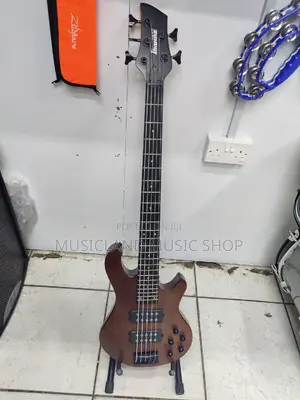 Ibanez S String Active
