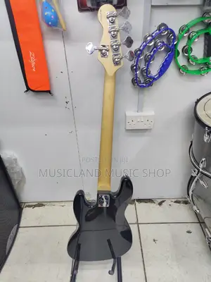 Fender 5 String Bass
