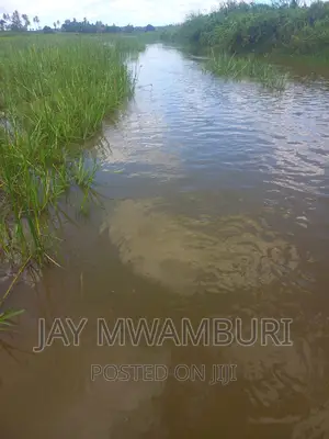 200 Acres Lango Baya Malindi