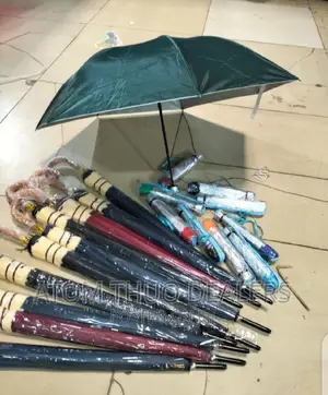 Portable Umbrella With A Bag