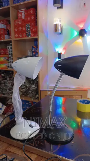 Study Lamp With Flexible Arm