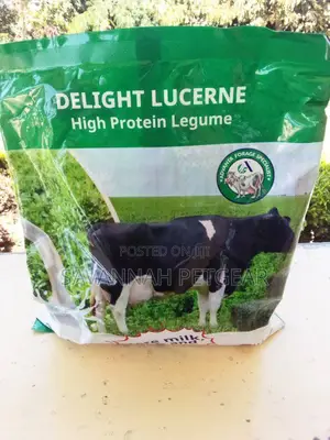 Delight Lucerne From Advanta - 1kg